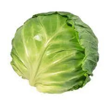 Cabbage (19)-7296765-67882.webp